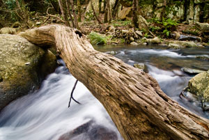 Paisajes de naturaleza fotografía