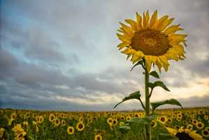 Paisajes de naturaleza fotografía